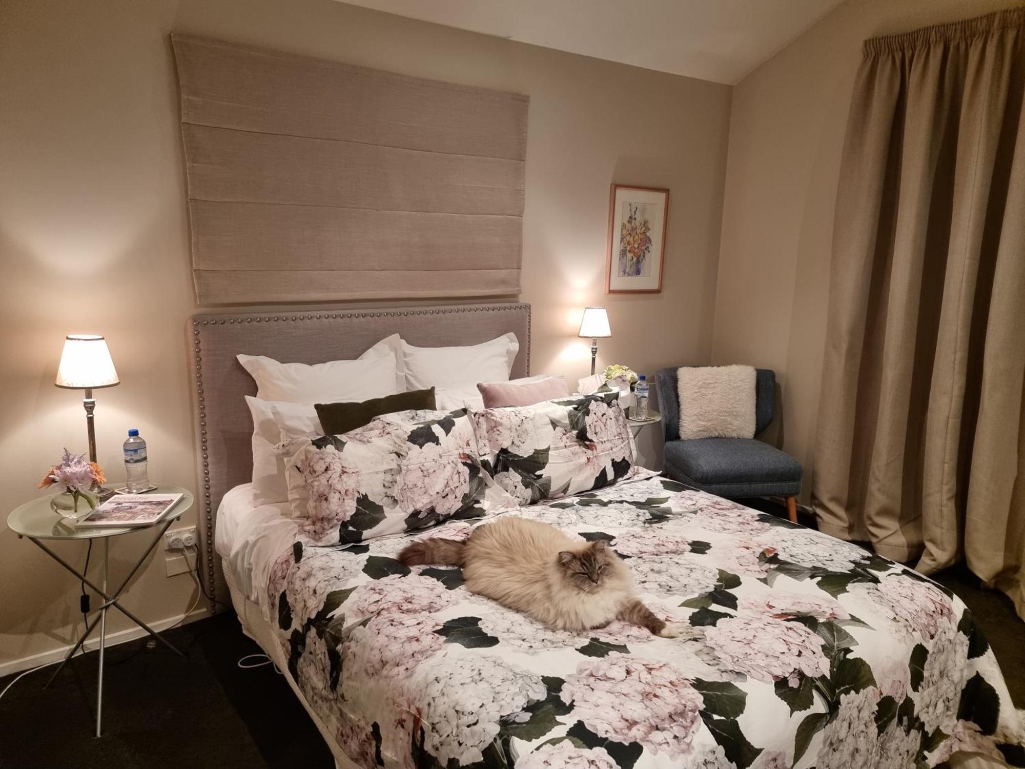 Haven Sanctuary Suite With Private Entrance Queenstown Exterior foto